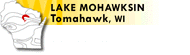 Mohawksin
